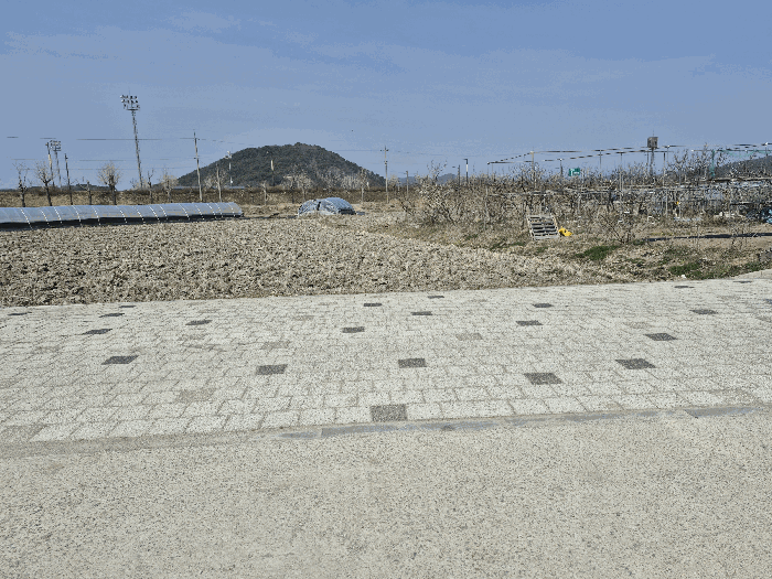충남 부여군 부여읍 전답 경매 물건 사진 4 · 2026타경20092