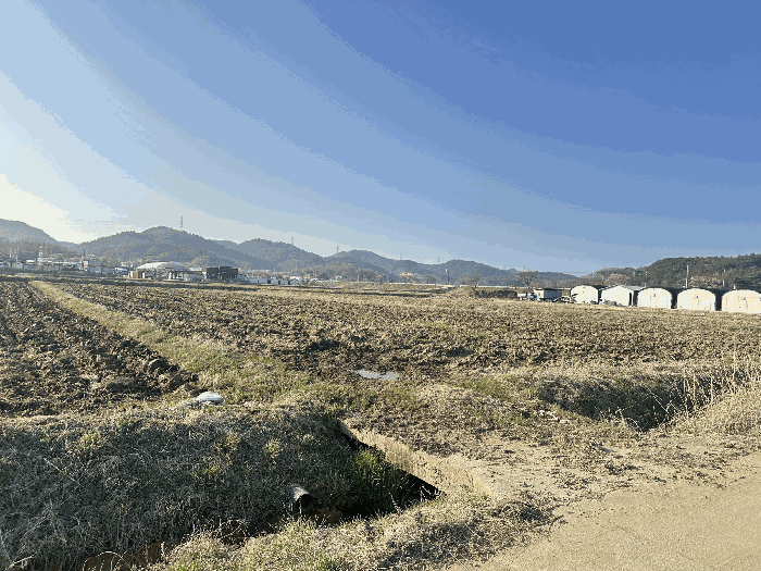 충남 논산시 내동 아파트 경매 물건 사진 5 · 2026타경20094