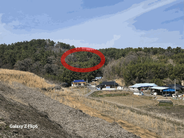 충남 부여군 양화면 임야 경매 물건 사진 5 · 2026타경20097