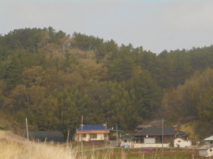 충남 부여군 양화면 임야 경매 물건 사진