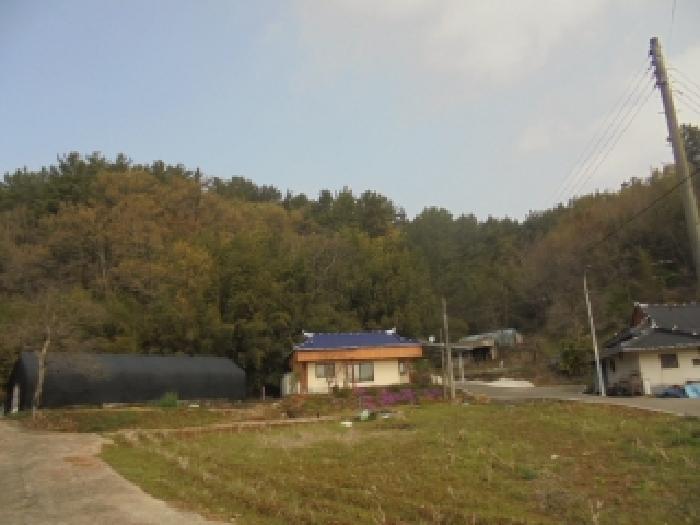 충남 부여군 양화면 임야 경매 물건 사진 2 · 2026타경20097