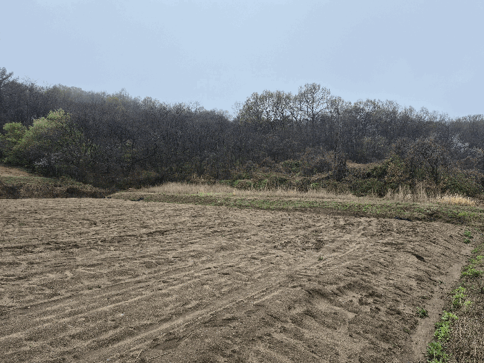 충남 논산시 연산면 전답 경매 물건 사진 4 · 2026타경20110