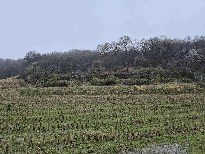 충남 논산시 연산면 전답 경매 물건 사진 5 · 2026타경20110