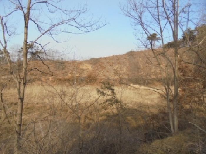 충남 부여군 석성면 전답 경매 물건 사진 2 · 2026타경3