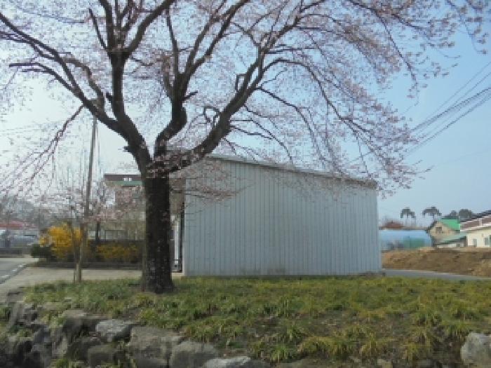 충남 부여군 장암면 전답 경매 물건 사진 4 · 2026타경34