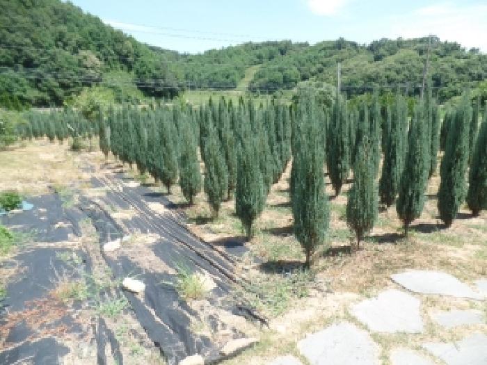 충남 논산시 가야곡면 전답 경매 물건 사진