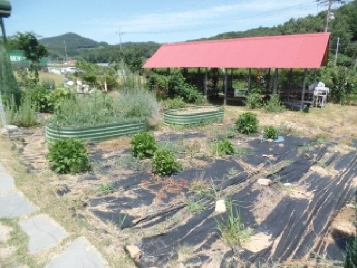 충남 논산시 가야곡면 전답 경매 물건 사진 2 · 2026타경36