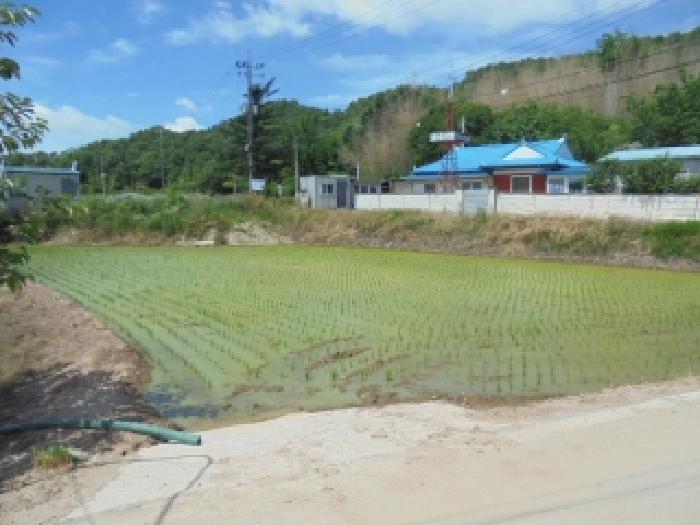충남 부여군 세도면 전답 경매 물건 사진 3 · 2026타경56