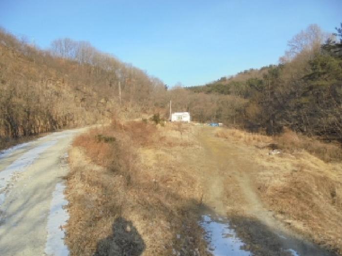 충남 부여군 은산면 전답 경매 물건 사진