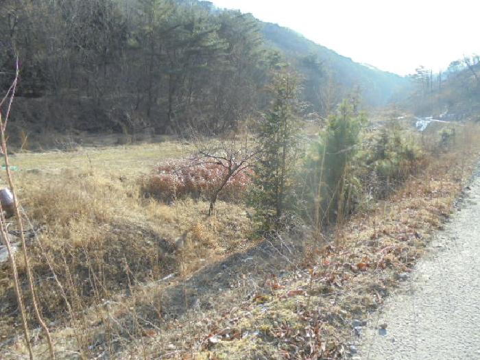 충남 부여군 은산면 전답 경매 물건 사진 3 · 2026타경7