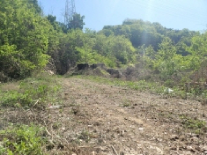 충남 천안시 동남구 삼룡동 임야 경매 물건 사진 3 · 2023타경104071