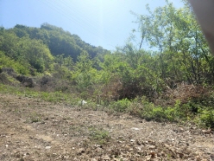 충남 천안시 동남구 삼룡동 임야 경매 물건 사진 4 · 2023타경104071
