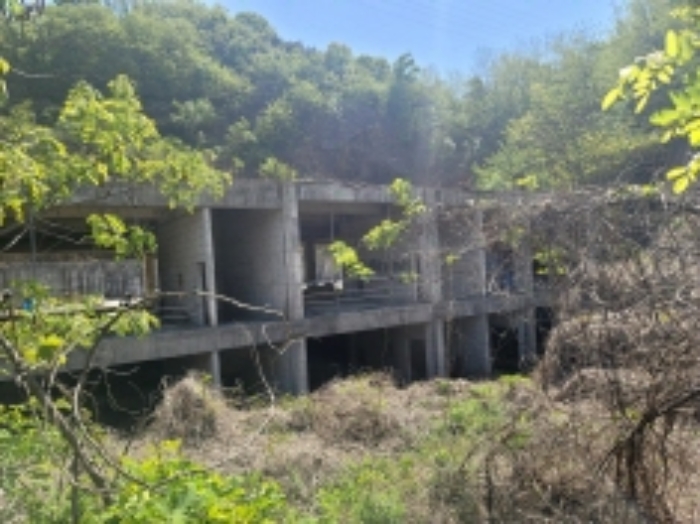 충남 천안시 동남구 삼룡동 임야 경매 물건 사진 5 · 2023타경104071