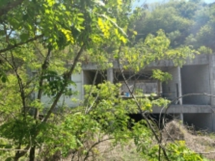 충남 천안시 동남구 삼룡동 임야 경매 물건 사진 6 · 2023타경104071