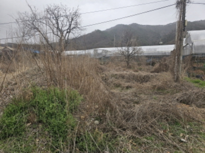 충남 천안시 서북구 입장면 근린생활시설 경매 물건 사진 3 · 2024타경1780