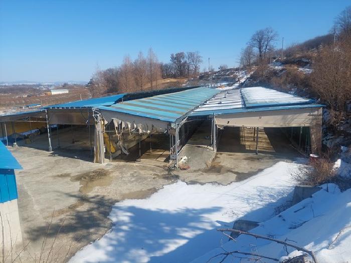 충남 아산시 둔포면 동물및식물관련시설 경매 물건 사진 5 · 2025타경10385