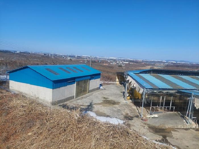 충남 아산시 둔포면 동물및식물관련시설 경매 물건 사진 6 · 2025타경10385