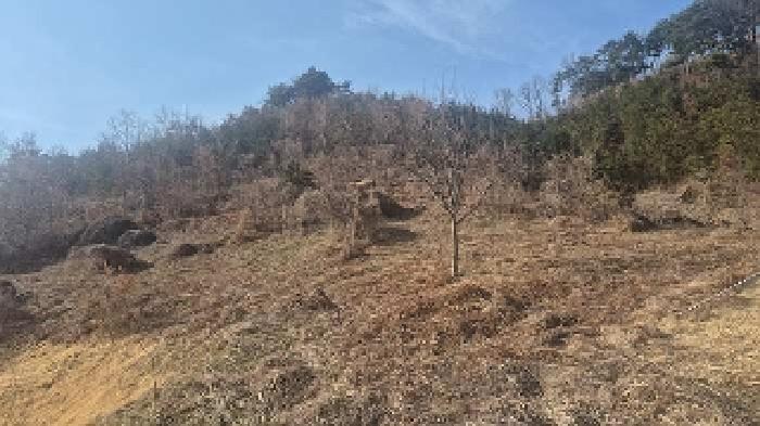 충남 천안시 동남구 병천면 전답 경매 물건 사진