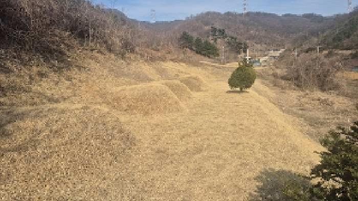 충남 천안시 동남구 병천면 전답 경매 물건 사진 2 · 2025타경11351