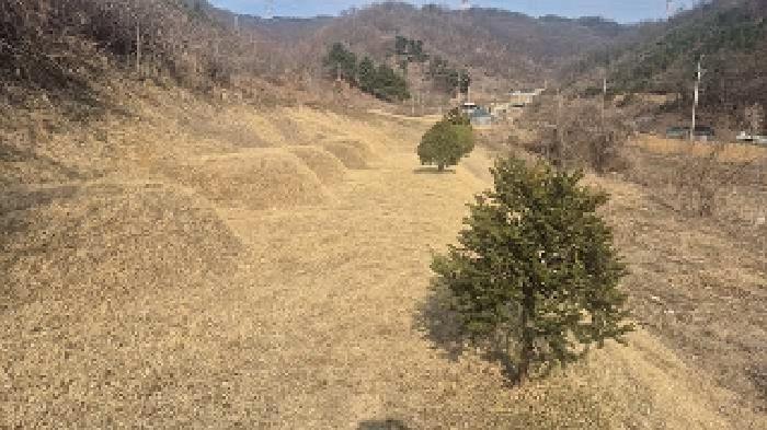 충남 천안시 동남구 병천면 전답 경매 물건 사진 3 · 2025타경11351