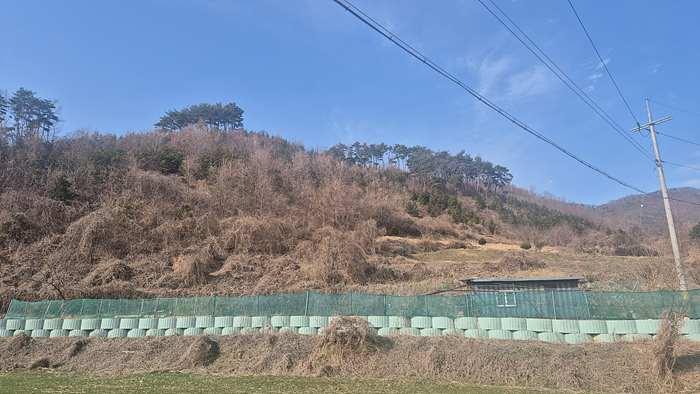 충남 천안시 동남구 병천면 전답 경매 물건 사진 4 · 2025타경11351