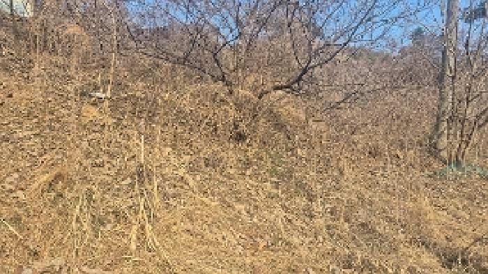 충남 천안시 동남구 병천면 전답 경매 물건 사진 5 · 2025타경11351