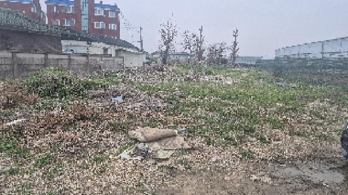 충남 천안시 서북구 입장면 대지 경매 물건 사진 2 · 2025타경11469