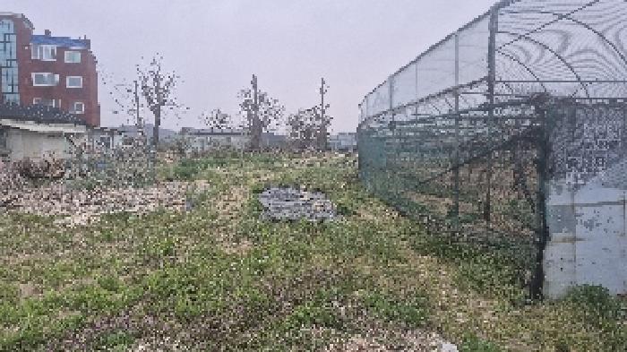 충남 천안시 서북구 입장면 대지 경매 물건 사진 3 · 2025타경11469