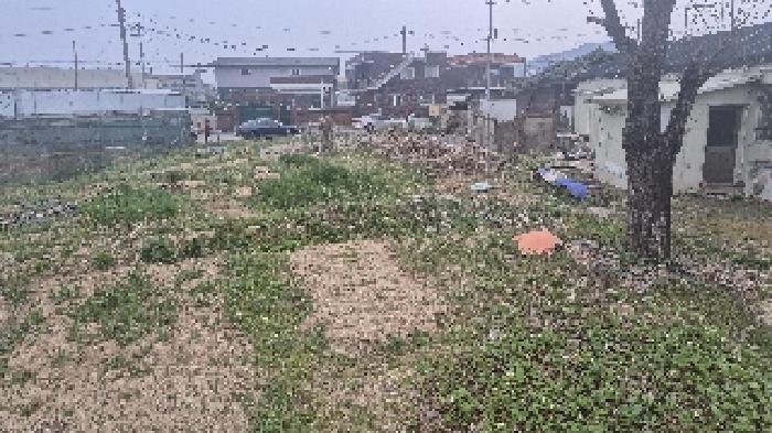 충남 천안시 서북구 입장면 대지 경매 물건 사진 6 · 2025타경11469