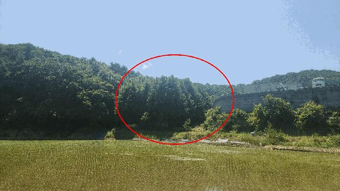 충남 천안시 동남구 병천면 전 경매 물건 사진