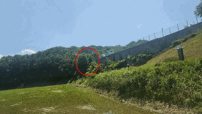 충남 천안시 동남구 병천면 전 경매 물건 사진 5 · 2025타경11733
