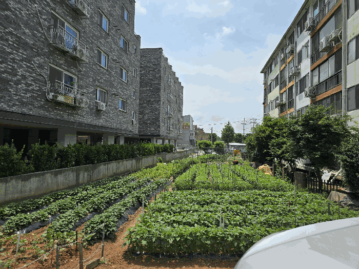 충청남도 천안시 서북구 성환읍 매주리 323-2 5층502호 연립주택 경매 물건 사진
