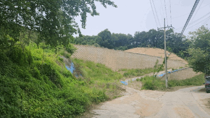 충청남도 천안시 동남구 목천읍 삼성리 산51 임야 경매 물건 사진