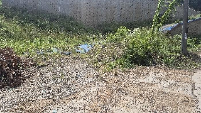 충남 천안시 동남구 목천읍 임야 경매 물건 사진 3 · 2025타경11809