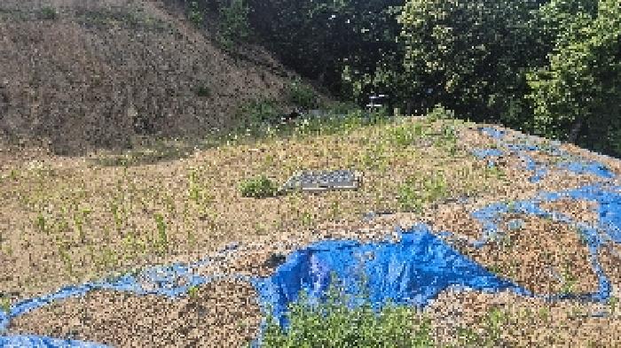 충남 천안시 동남구 목천읍 임야 경매 물건 사진 5 · 2025타경11809
