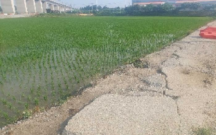 충남 아산시 둔포면 전답 경매 물건 사진 4 · 2025타경11819