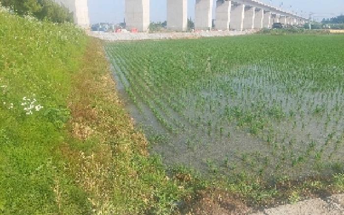 충남 아산시 둔포면 전답 경매 물건 사진 5 · 2025타경11819