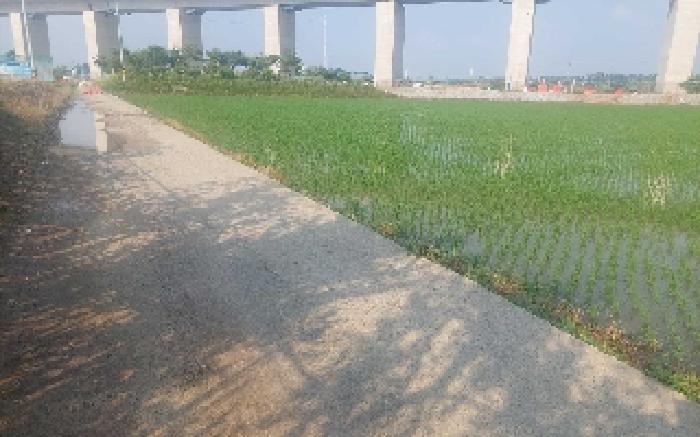 충남 아산시 둔포면 전답 경매 물건 사진