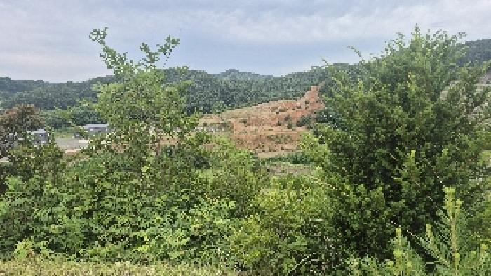 충남 천안시 동남구 광덕면 임야 경매 물건 사진 6 · 2025타경11855