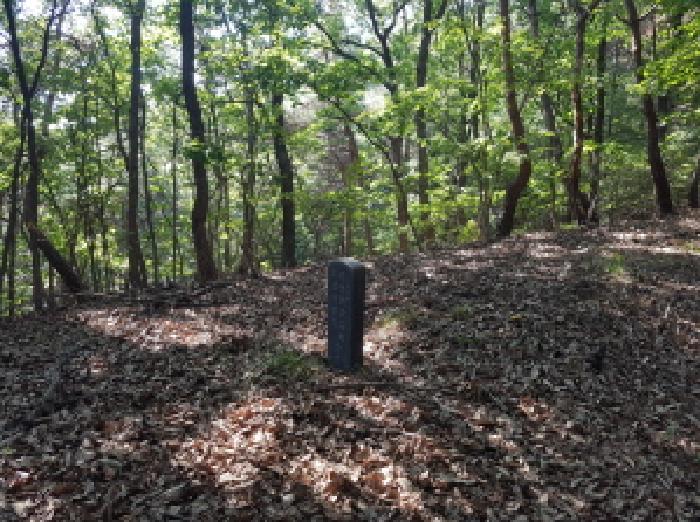 충남 천안시 동남구 동면 임야 경매 물건 사진