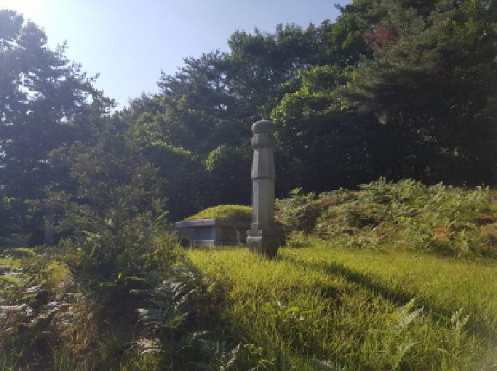 충남 천안시 동남구 동면 임야 경매 물건 사진 4 · 2025타경11948