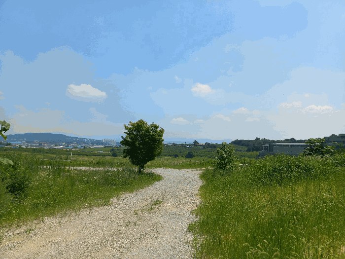 충청남도 천안시 성환읍 송덕리 196-10 과수원 경매 물건 사진