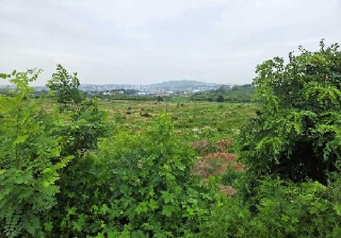 충남 천안시 성환읍 과수원 경매 물건 사진 2 · 2025타경11981