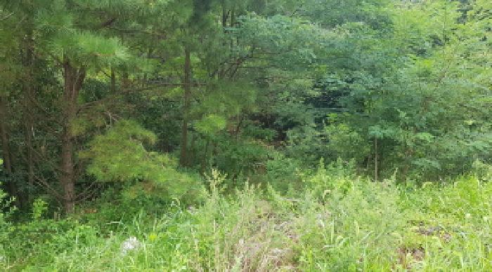 충남 천안시 동남구 성남면 근린생활시설 경매 물건 사진 3 · 2025타경11993
