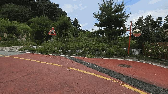 충남 천안시 동남구 성남면 근린생활시설 경매 물건 사진 4 · 2025타경11993