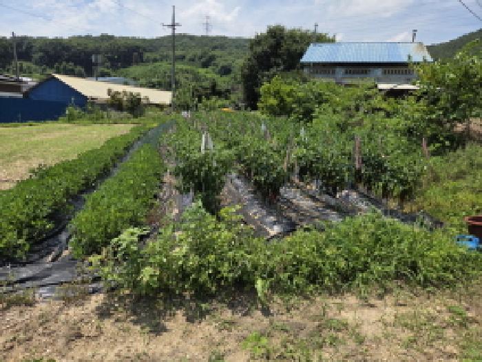 충남 아산시 음봉면 전 경매 물건 사진 2 · 2025타경12082