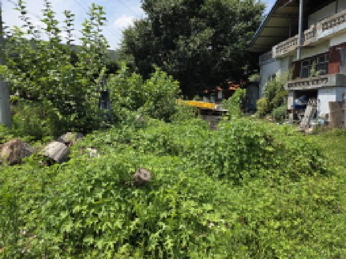 충남 아산시 음봉면 전 경매 물건 사진 3 · 2025타경12082