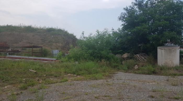 충남 천안시 동남구 수신면 대지,임야,전답 경매 물건 사진 5 · 2025타경12112
