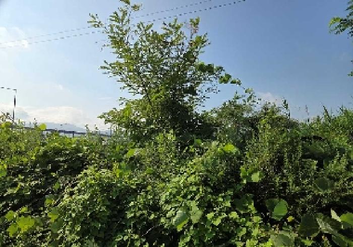 충남 천안시 서북구 성거읍 전답 경매 물건 사진 4 · 2025타경12136