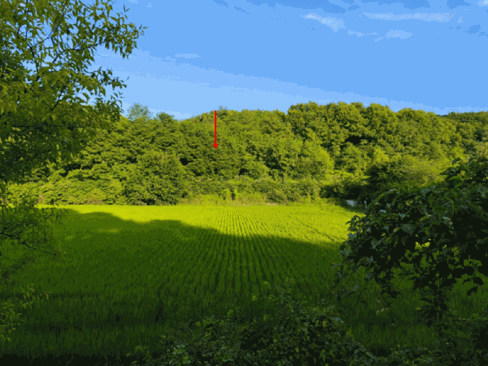 충청남도 천안시 동남구 수신면 해정리 288-1 전답 경매 물건 사진